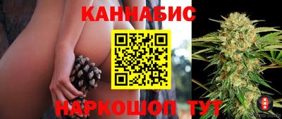 молекула духа Обь
