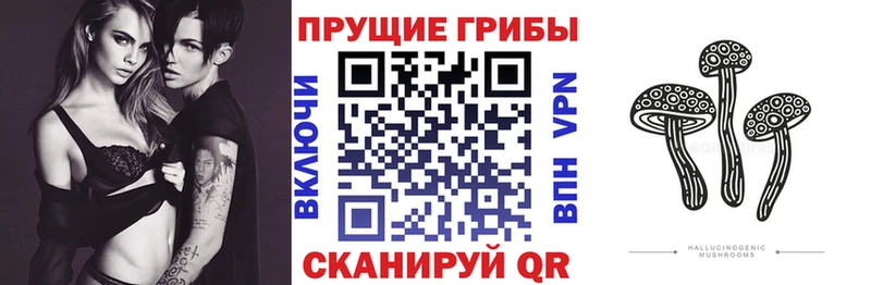 Галлюциногенные грибы Magic Shrooms  Новокузнецк 