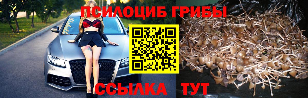 Галлюциногенные грибы Psilocybine cubensis  Галлюциногенные грибы Psilocybine cubensis  продажа наркотиков  Вход с VPN  Новокузнецк 